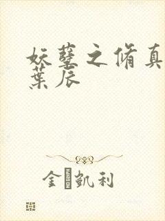 妖孽之修真弃少叶辰封面