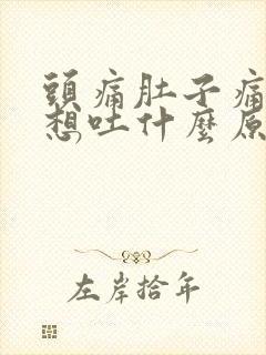 头痛肚子痛恶心想吐什么原因封面