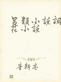 另类小说调教警花小说封面