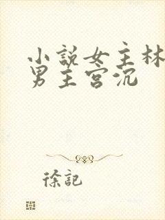 小说女主林知意男主宫沉