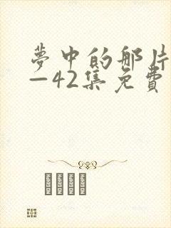 梦中的那片海1—42集免费观看