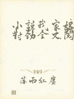 小说我家娘子不对劲全文阅读免费