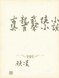 古龙武侠小说全集有声小说封面