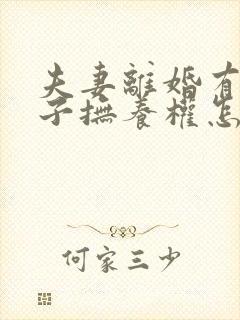 夫妻离婚有俩孩子抚养权怎么判定