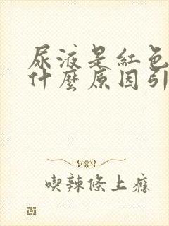 尿液是红色的是什么原因引起的