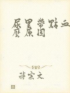 尿里带点血是什么原因封面