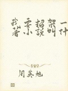 我要招架一切原著小说叫什么