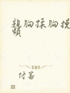 亲胸揉胸摸胸视频封面