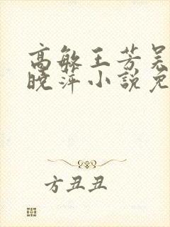 高敏王芳吴刚江晓萍小说免费阅读新