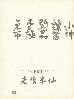 免费阅读小说都市极品医神全文