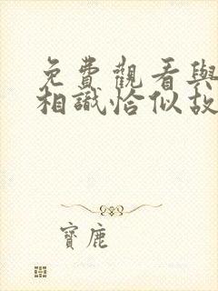 免费观看与君初相识恰似故人归电视剧封面