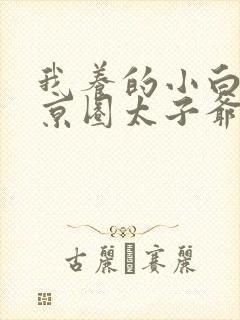 我养的小白脸是京圈太子爷免费短剧封面