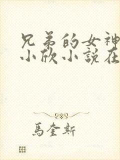 兄弟的女神女友小欣小说在线阅读