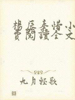 杨辰秦惜小说免费阅读全文封面