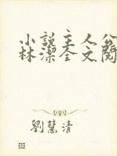 小说主人公秦齐林洁全文阅读