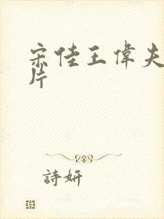 宋佳王伟夫妇图片