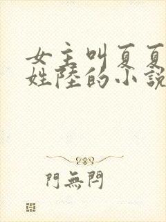 女主叫夏夏男主姓陆的小说封面