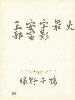 王安宇最火的三部电影封面