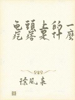 龟头上的一圈小疙瘩是什么封面