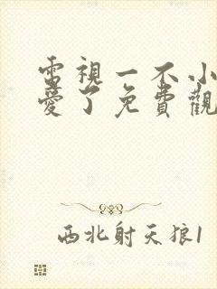 电视一不小心恋爱了免费观看封面