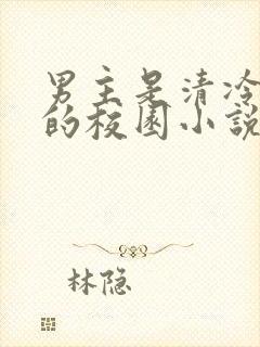 男主是清冷学霸的校园小说