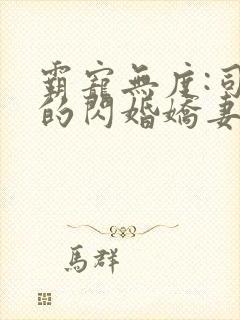 霸宠无度:司少的闪婚娇妻