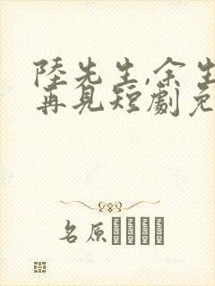 陆先生,余生不再见短剧免费观看全集