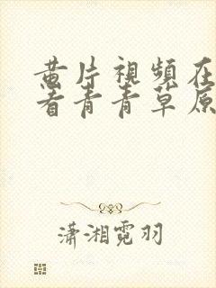 黄片视频在线观看青青草原欧美