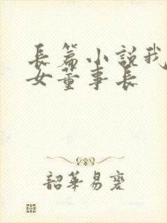 长篇小说我和美女董事长封面