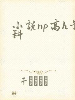 小说np高h骨科封面