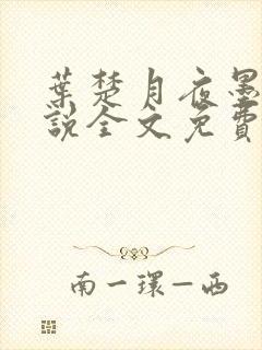 叶楚月夜墨寒小说全文免费最新