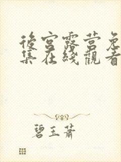 后宫露营免费全集在线观看