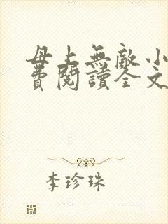 母上无敌小说免费阅读全文最新章节