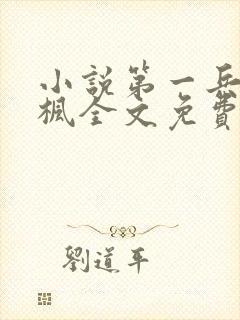 小说第一兵王于枫全文免费阅读封面