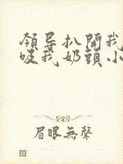 领导扒开我奶罩吸我奶头小说