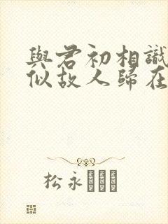 与君初相识·恰似故人归在线观看