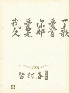 我爱你爱了那么久是哪首歌