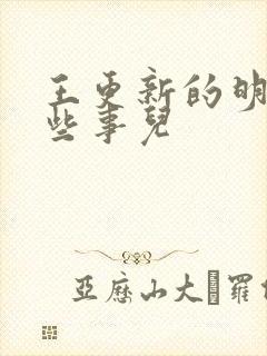 王更新的明朝那些事儿