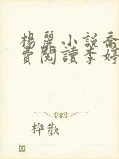 杨丽小说乔枫免费阅读李婷全文