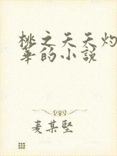 桃之夭夭灼灼其华的小说