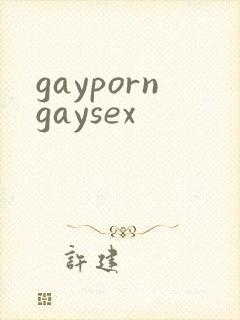 gayporngaysex