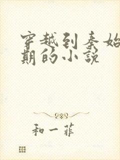 穿越到秦始皇时期的小说