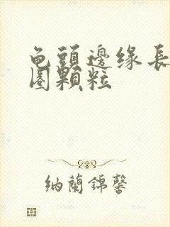 龟头边缘长了一圈颗粒