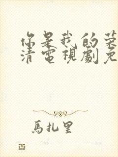 你是我的荣耀高清电视剧免费观看封面