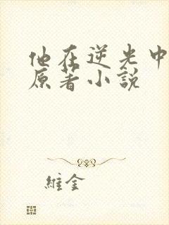 他在逆光中告白原著小说