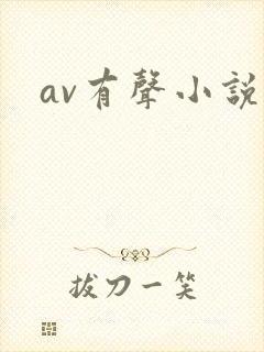 av有声小说