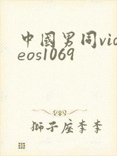 中国男同videos1069