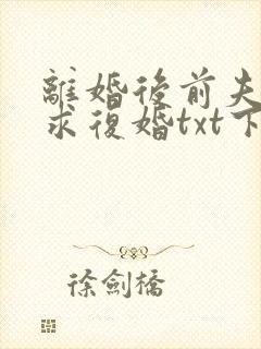 离婚后前夫哭着求复婚txt下载完本