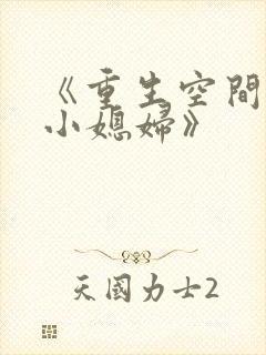 《重生空间八零小媳妇》封面