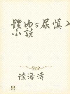 体内s尿慎入h小说
